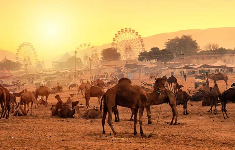 Pushkar Excursions