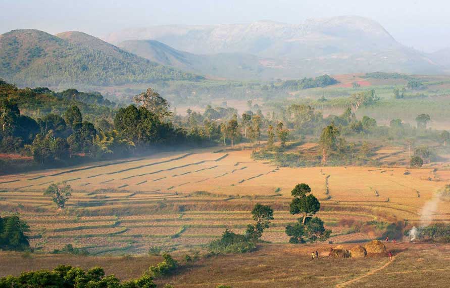 Rustic Orissa Tribal Tour